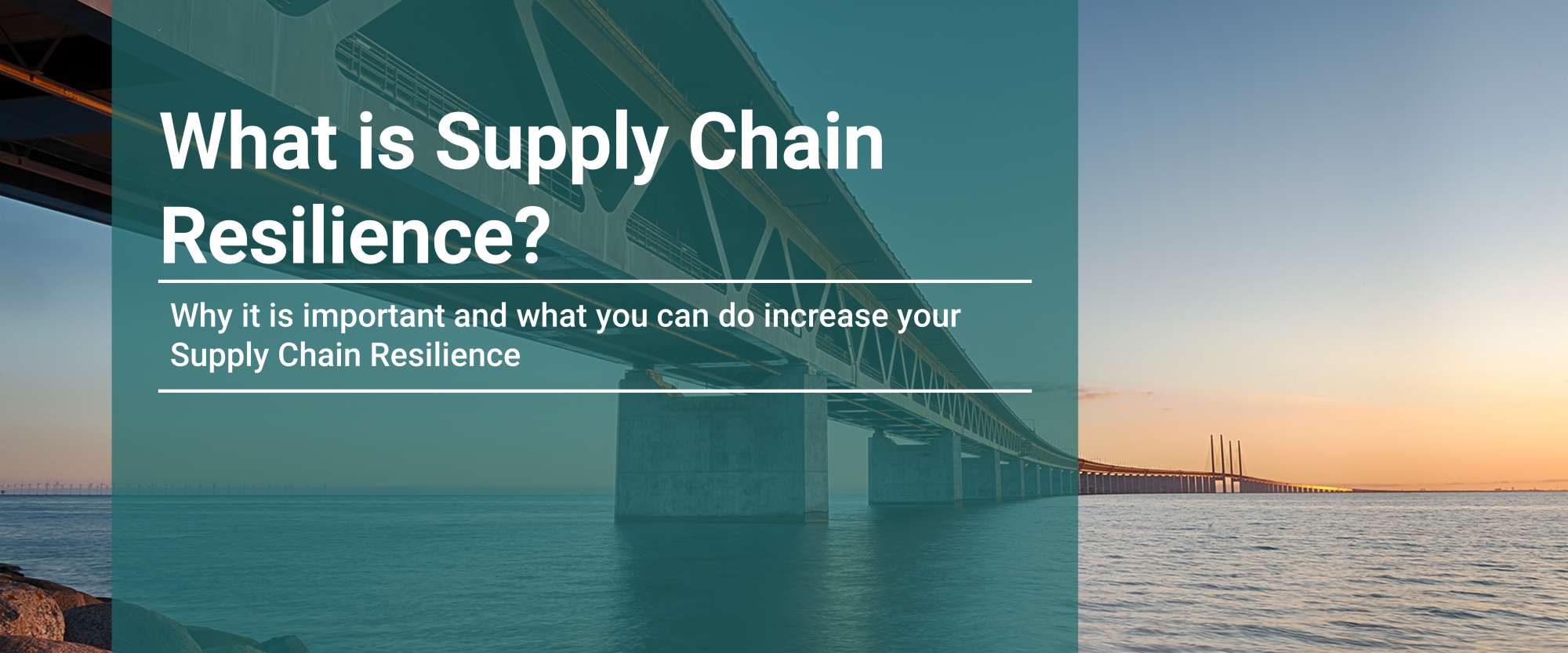 What is Supply Chain Resilience? Optilon Academy AB