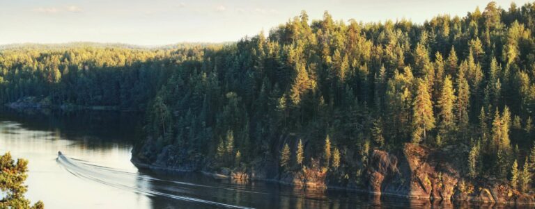 Forrest