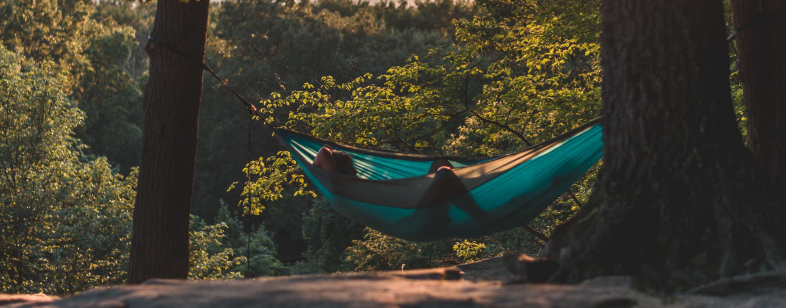 hammock