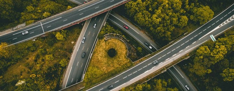 Road forrest